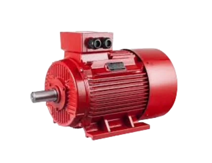 Industrial electric motor